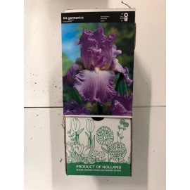 S.BOLBO GR IRIS GERMANICOS - CAIXA  20 UNIDADES