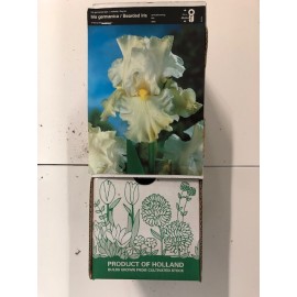 S.BOLBO GR IRIS GERMANICOS - CAIXA  20 UNIDADES