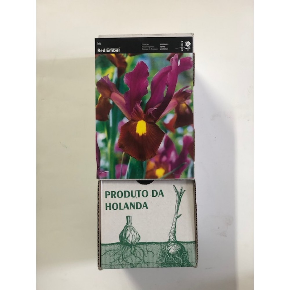 S.BOLBO DC IRIS LIRETES RED EMBER -CAIXA 150 UNIDADES