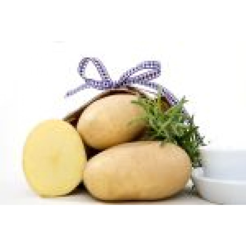 S.BATATA EUROPLANT JELLY 35/55    - 25KG