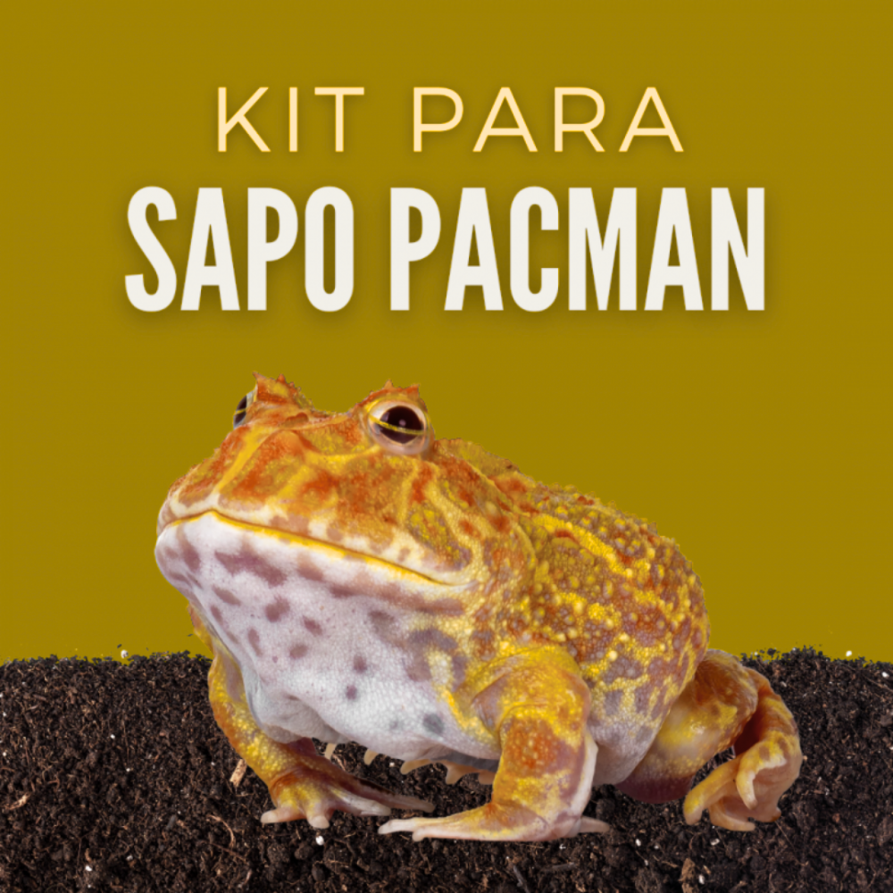 KIT COMPLETO DE MATERIAL TECNICO PARA UM SAPO PACMAN