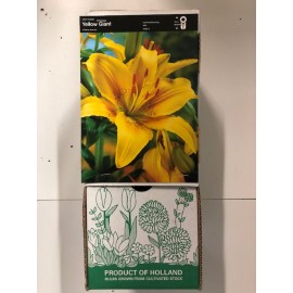S.BOLBO GR LILIUMS ASIATICOS 14/16 TIPO B - CAIXA  30 UNIDADES