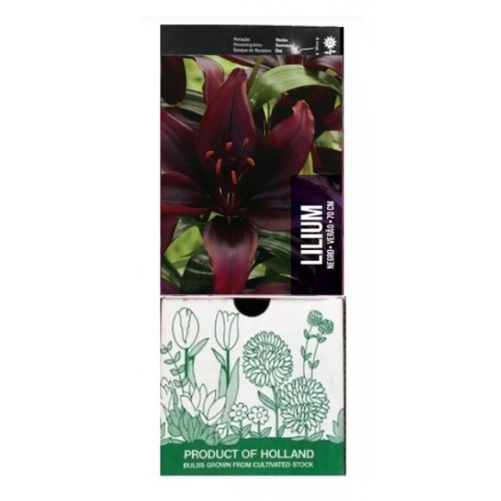 S.BOLBO GR LILIUMS 16/18 NEGRO  - CAIXA  30 UNIDADES