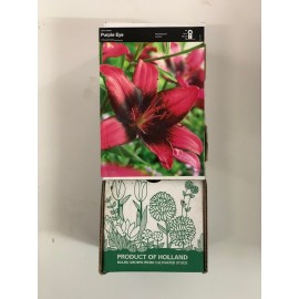 S.BOLBO GR LILIUMS 16/18 SELEÇÃO  - CAIXA  30 UNIDADES