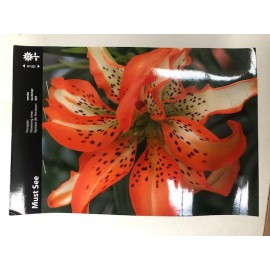 S.BOLBO SAQUETA LILIUM DOBRADO - 1 BOLBO
