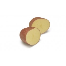 S.BATATA AGRICO MANITOU  35/55  - 25KG