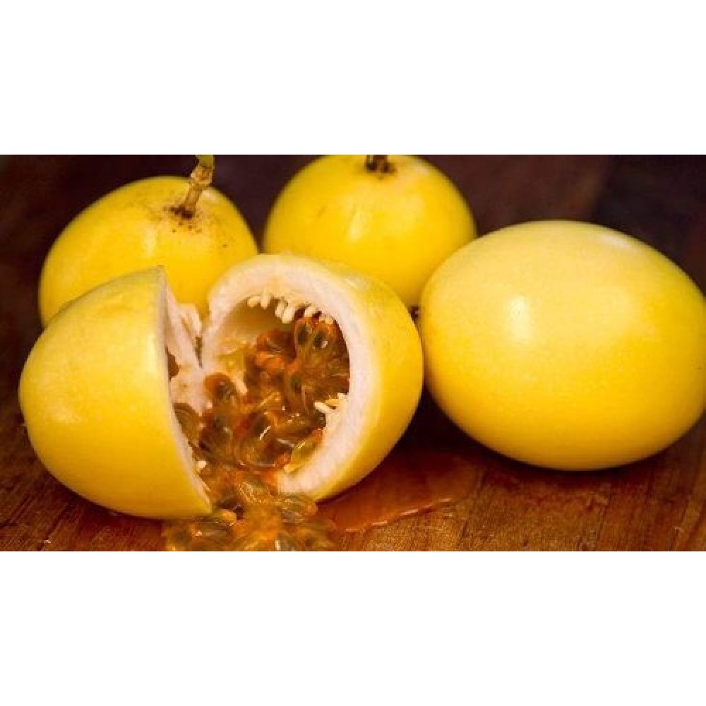 S.PLANTA MARACUJA AMARELO  -   VASO