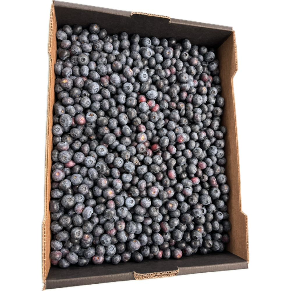 MIRTILOS - CAIXA -1KG