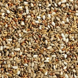 NATURAL POMBOS FINESSE WIZARD (CONCURSOS - ENERGÉTICA) - 20 KG