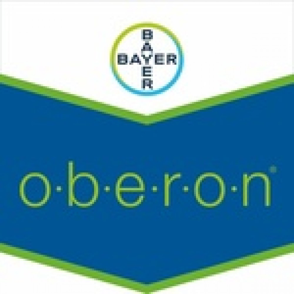BAYER OBERON AV 1239 - 500 ML