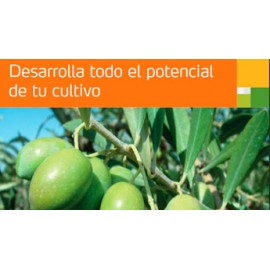 ADUBO YARA VITA OLIVO 10%N; 6,7%MgO; 3,8%Fe; 4,3%Mn; 2%B; 2%Zn  -5KG