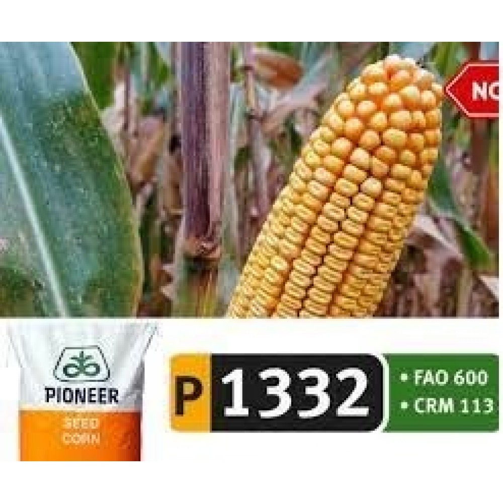 S.MILHO HIBRIDO PIONEER P1332 IST.50MK