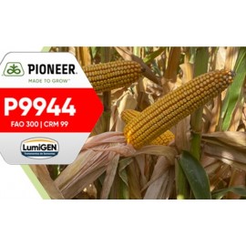 S.MILHO HIBRIDO PIONEER P9944 IST.50MK