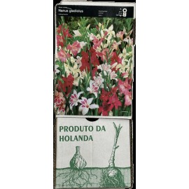S.BOLBO GR PALMAS STA RITA - CAIXA 150 UNIDADES