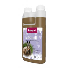 PAVO BECHILL 1LT