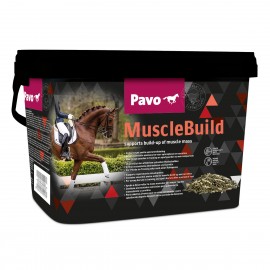 PAVO MUSCLEBUILD 3KG - RAPIDO DESENVOLVIMENTO MUSCULAR