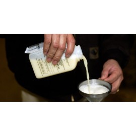 PAVO COLOSTRUM- COLOSTRO PARA POLDROS RECEM NASCIDOS - 150GR