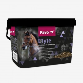 PAVO ELYTE 3KG - MIX DE ELECTROLITOS PARA CAVALOS DE DESPORTO