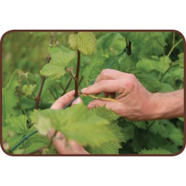 TIRA REVESTIDA EM PAPEL ECOLOGICO 15CM - PACK 100 UNIDADES