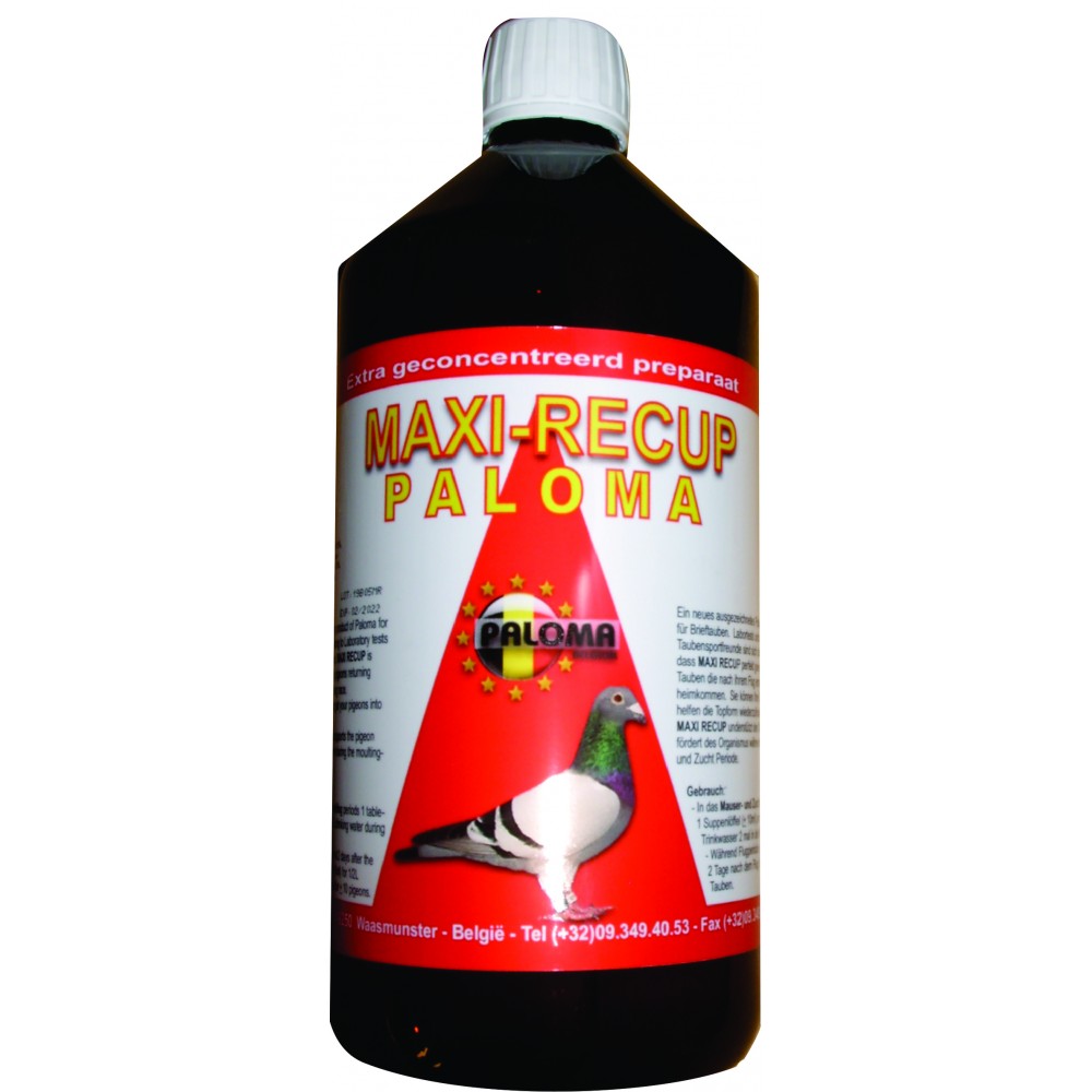 PALOMA MAXI RECUP PALOMA C/ELECTROLITOS - 1 LT