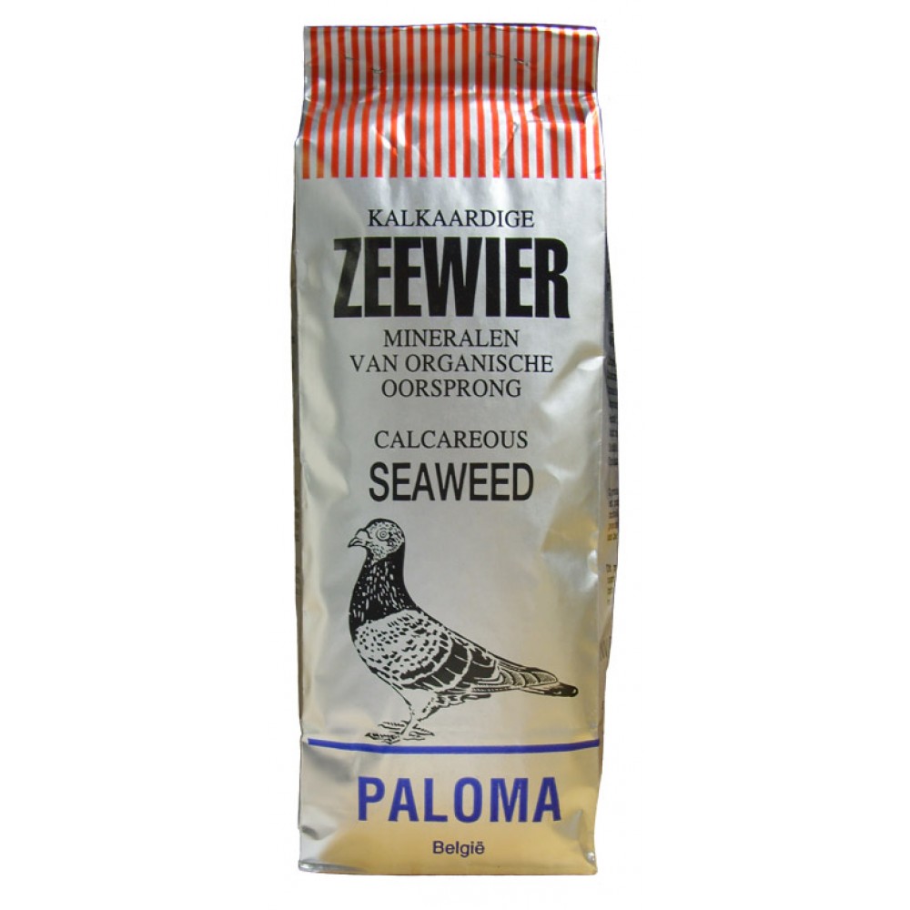 PALOMA ALGAS MARINHAS  -1 KG