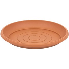 PRATO P/VASO TERRA TERRACOTA -25CM