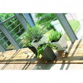 PRATO P/VASO LOFLY SQUARE BRANCO -165MM
