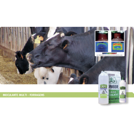 PIONEER INOCULANTE PR11A44 - 250 GR