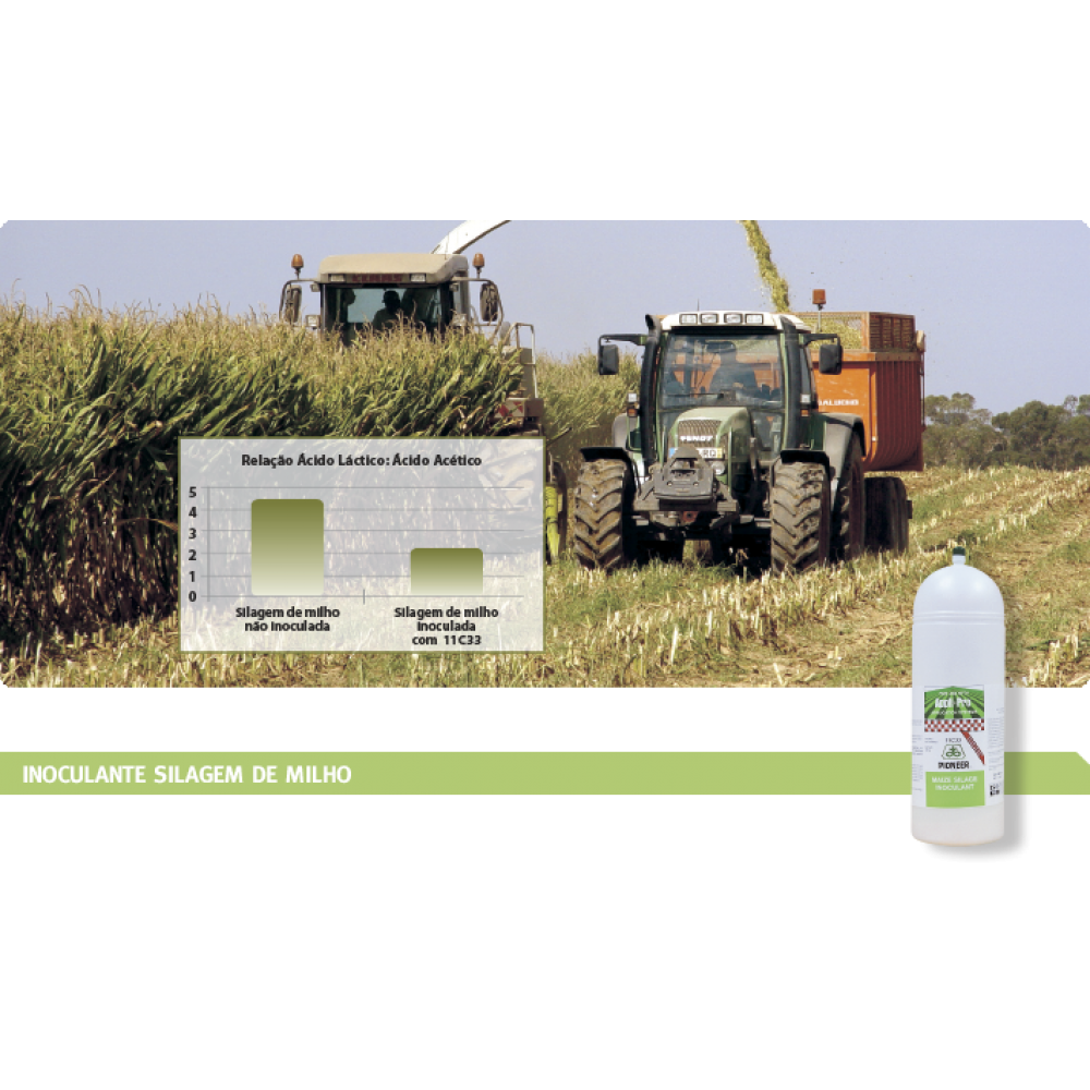 PIONEER INOCULANTE PR11C33 - 250 GR