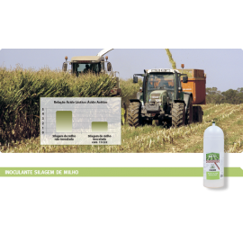 PIONEER INOCULANTE PR11C33 - 250 GR