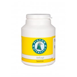 PIGEON ANTIFUNGAL - 125 GR