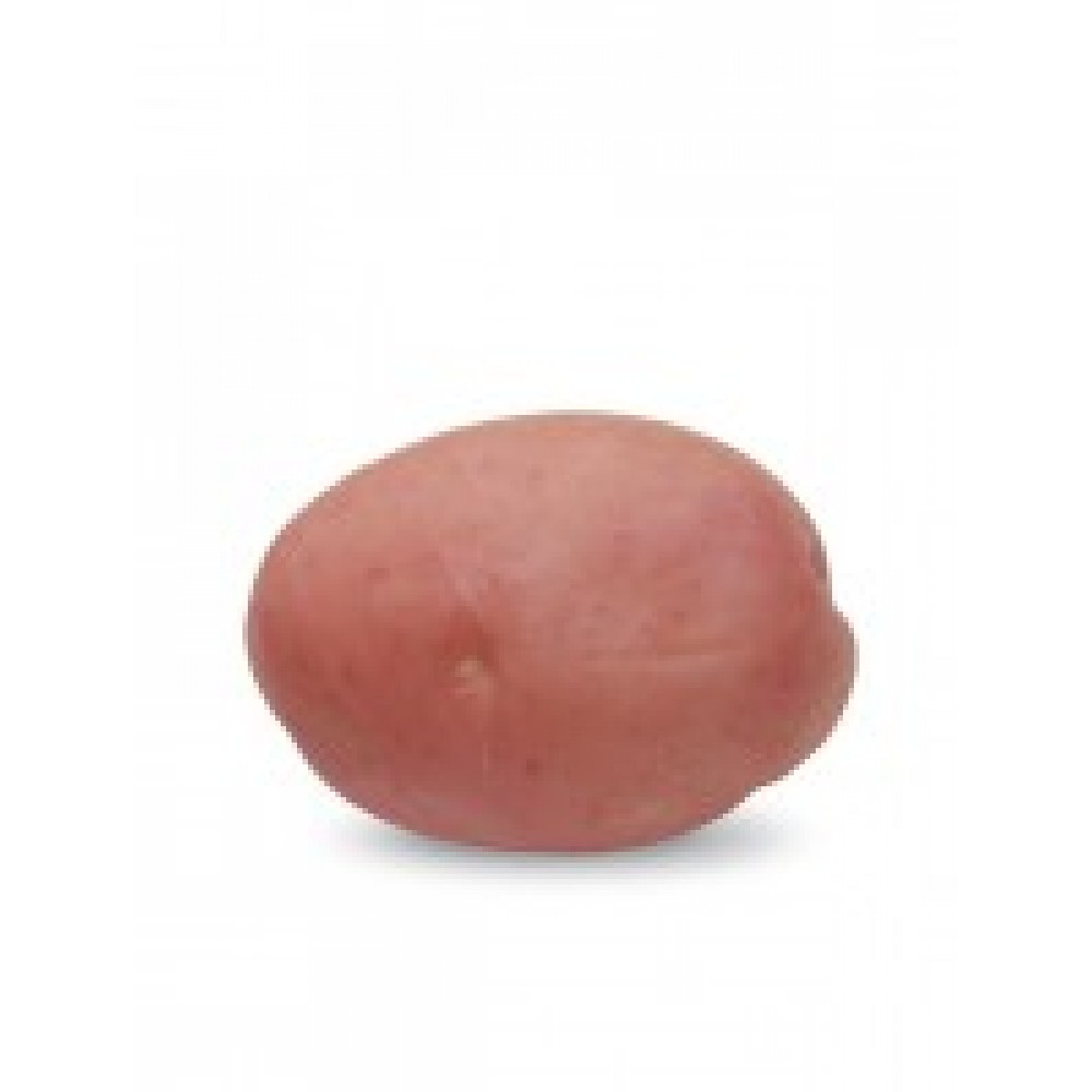 S.BATATA HZPC RED SCARLETT 35/55  - 25 KG