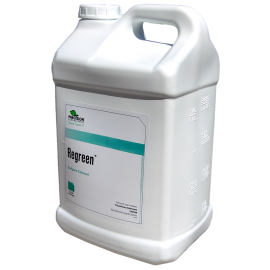 BEGREEN - CORANTE PARA RELVADOS - 10LT