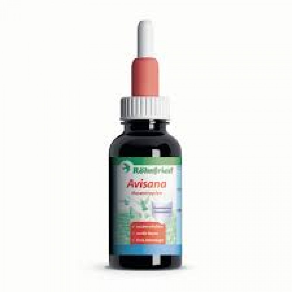ROHNFRIED AVISANA 50ML