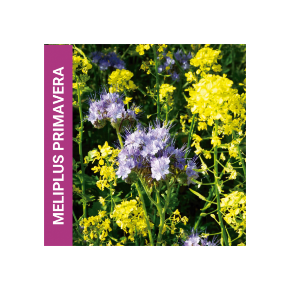 MISTURA FAUNÍSTICA MELIPLUS PRIMAVERA  -SC 10KG