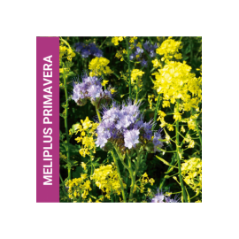 MISTURA FAUNÍSTICA MELIPLUS PRIMAVERA  -SC 10KG
