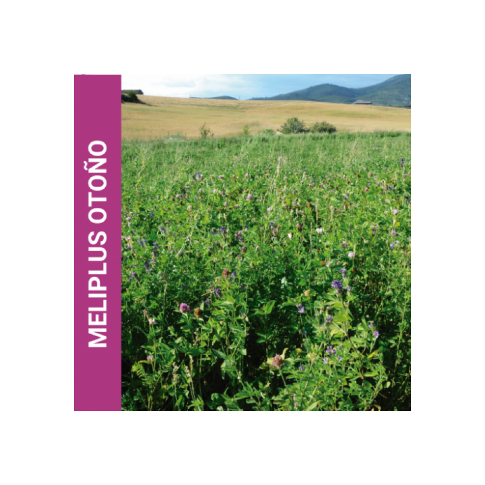 MISTURA FAUNÍSTICA MELIPLUS OUTONO  -SC 10KG