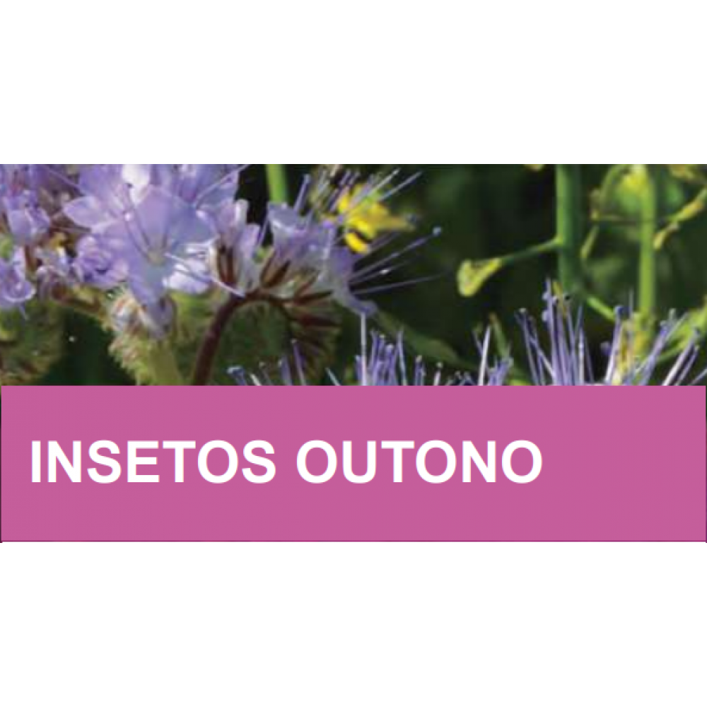MISTURA FAUNÍSTICA INSETOS OUTONO  -SC 10KG