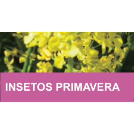 MISTURA FAUNÍSTICA INSETOS PRIMAVERA  -SC 10KG
