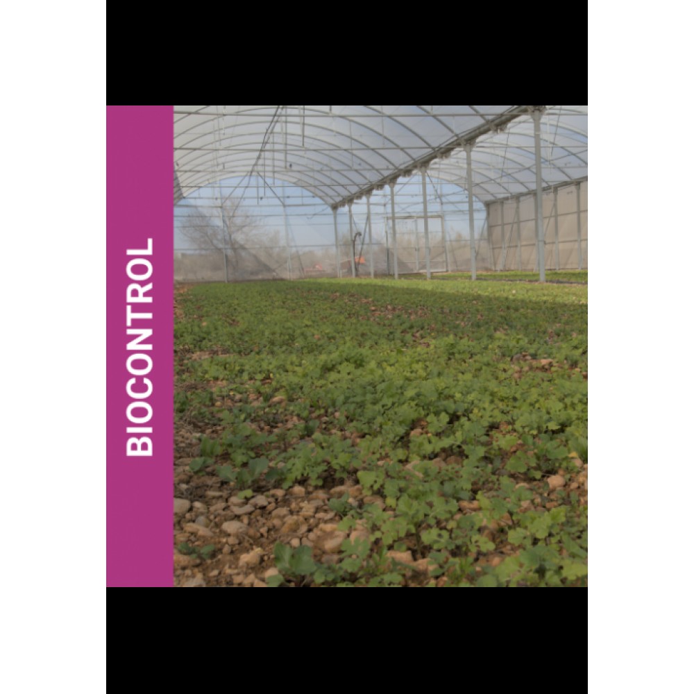 MISTURA DE PRADO MELHORANTE BIOCONTROL  -SC 10KG
