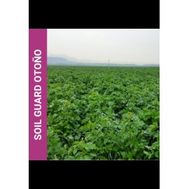 MISTURA DE PRADO MELHORANTE SOIL GUARD OUTONO -SC 10KG