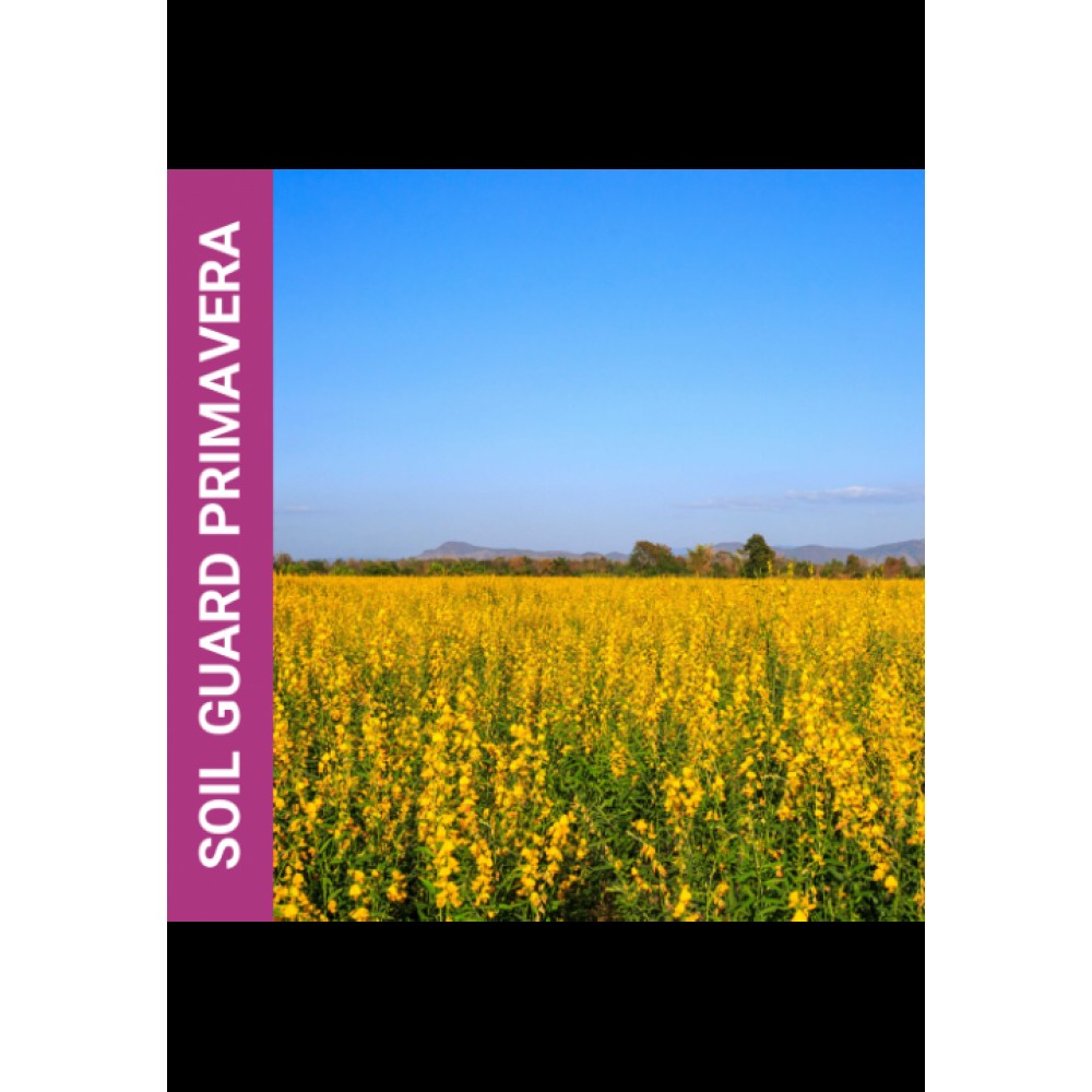 MISTURA DE PRADO MELHORANTE SOIL GUARD PRIMAVERA-SC 10KG