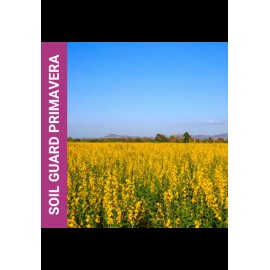 MISTURA DE PRADO MELHORANTE SOIL GUARD PRIMAVERA-SC 10KG