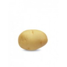 S.BATATA POTATOES JAERLA 35/55      - 25KG
