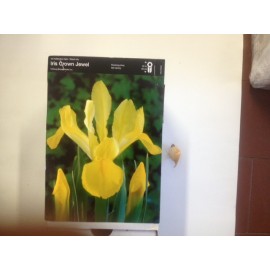 S.BOLBO IRIS LIRETES UN.