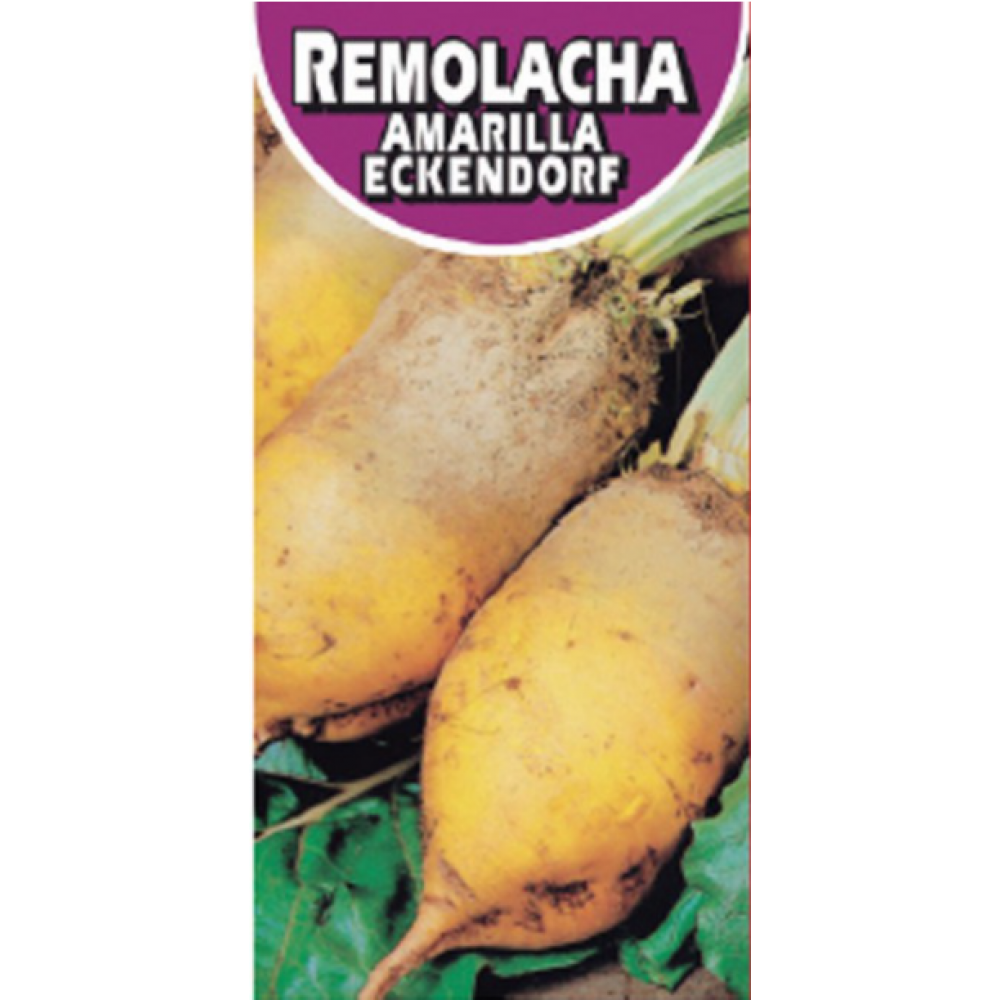 S.BETERRABA FORRAGEIRA ECKENDORF AMARELA - 5KG
