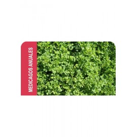 SEMENTE MEDICAGO ANUAL POLYMORPHA  - SACO 5KG
