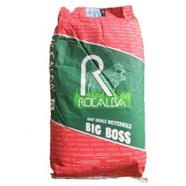 SEMENTE AZEVEM ANUAL RAY GRASS INGLES BIG BOSS -SC 25 KG
