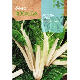 S.ACELGA ROCALBA AMARELA DE LYON