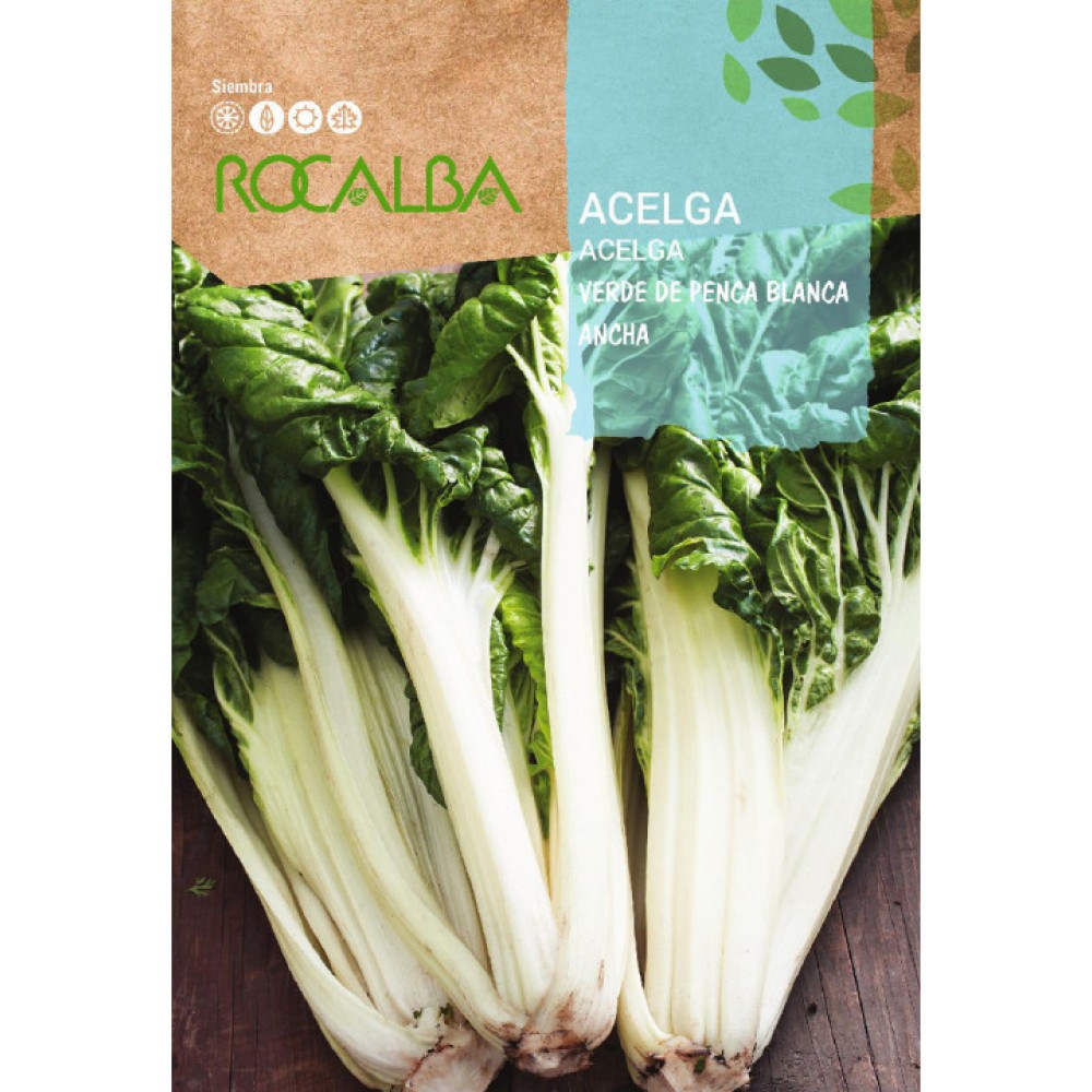 S.ACELGA VERDE PENCA LARGA BRANCA ROCALB